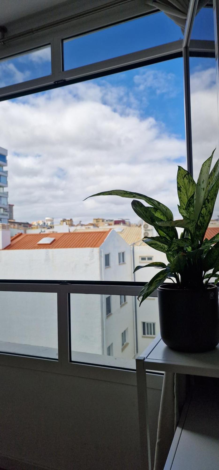 Estudio Canteras Lägenhet