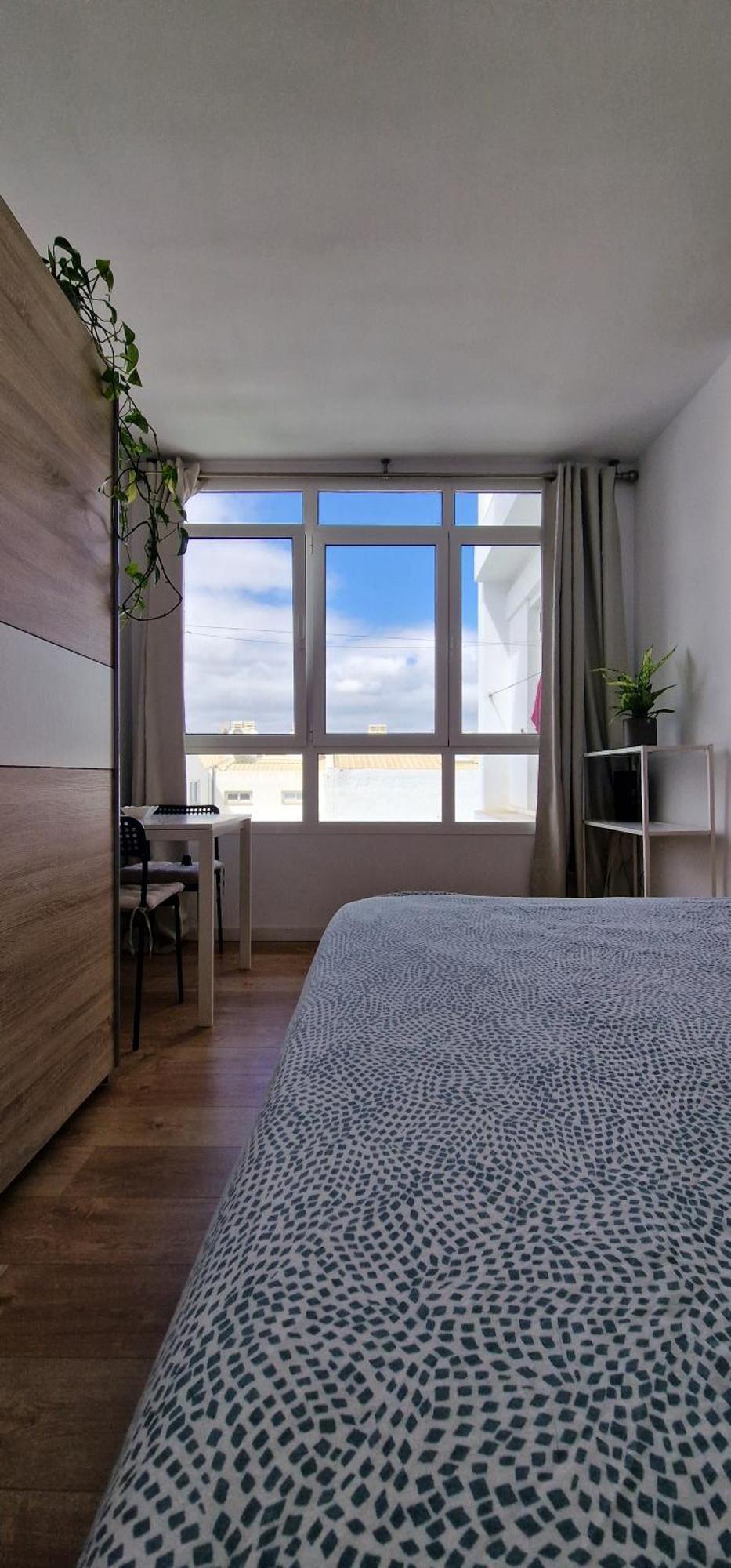 Estudio Canteras Las Palmas de Gran Canaria